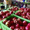 Exportations agricoles vietnamiennes vers l'UE en hausse