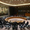 Conseil de sécurité : le Vietnam appelle à une coopération pour régler des questions en Syrie
