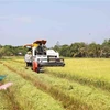 Des entreprises australiennes souhaitent investir dans l'agritech au Vietnam