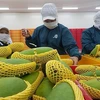 Les exportations de fruits et légumes devraient atteindre quatre milliards de dollars en 2021