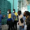 Le Gabon souhaite coopérer avec Long An dans la production rizicole