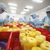 Presse malaisienne : les exportations de fruits vietnamiens en plein essor