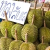 La Thaïlande cible plus de 5 milliards de dollars des exportations de fruits en 2023
