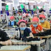 Améliorer la capacité de résilience des entreprises vietnamiennes face aux crises