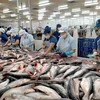 Exportation de poissons tra: optimisme pour 2023
