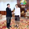 Le Laos tient en haute estime le soutien de l’Audit d'Etat du Vietnam