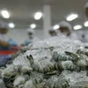 Les exportateurs de crevettes misent sur le marché de fin d’année