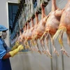 Premier lot de poulet vietnamien exporté vers le Japon en septembre