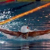 Dix nouveaux records établis lors du championnat de natation 2017