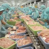 Les fruits de mer vietnamiens cherchent à revoir la vie en vert en UE