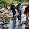 Les jeunes citadins vietnamiens trouvent randonnée à leur pied