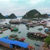De grands projets touristiques débarquent dans la ZES de Vân Dôn