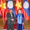 Entrevue entre la présidente de l'AN et le dirigeant laotien Bounnhang Vorachith
