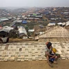 Le Bangladesh et le Myanmar prêts à un retour des réfugiés rohingyas