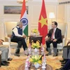 Le président vietnamien exhorte à impulser le partenariat stratégique intégrale Vietnam-Inde