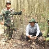 Kiên Giang renforce la prévention des incendies de forêt en saison sèche 