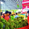 Atmosphère joyeusement animée du Festival des fruits du Nam Bô 2018