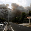 Incendies de forêt en Grèce: message de sympathie au président grec Prokopis Pavlopoulos