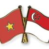 Hô Chi Minh-Ville célèbre les 45 ans des relations diplomatiques Vietnam-Singapour