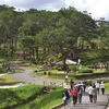 Sur les Hauts Plateaux du Centre, le tourisme fleurit à Lâm Dông
