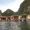 Quang Ninh: valorisation culturelle des villages de pêcheurs à Ha Long