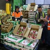 La blockchain pour la traçabilité des pitayas d’exportation vers l’Australie