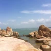 Binh Thuân développe ses potentiels en tourisme maritime