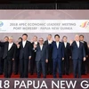 Le Vietnam a apporté ses contributions actives et responsables à l’APEC 2018 