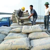Hausse spectaculaire des exportations nationales de ciment et de clinker 