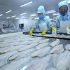 La production de pangasius sous la pression de l’offre