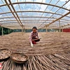 Le business des pailles en bambou tient le bon bout