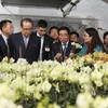 Une délégation de la RPDC étudie le modèle de plantation d’orchidées à Dan Phuong
