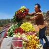 Au pied de la montagne Lang Biang, on a fait fortune grâce aux roses 