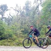 Lao Cai: course cycliste "Au milieu la saison des rhododendrons"