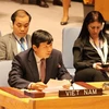 Le Vietnam a une grande chance d’être élu membre non permanent du Conseil de Sécurité