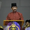 ASEAN : le Brunei apprécie le rôle important des pays partenaires