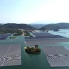 Energie solaire flottante: le Vietnam prévoit de réaliser le plus grand projet en Asie du Sud-Est