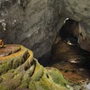 La grotte de Son Doong figure dans la liste de sept merveilles du monde en 2020