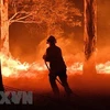 Message de sympathies à l'Australie pour les incendies de forêt