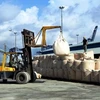 Exportation de 34 millions de tonnes de ciment et de clinker en 2019