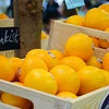 Le Vietnam, 9e plus grand importateur de fruits frais américains