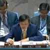 Le Vietnam demande aux parties au Yémen de mettre en pratique le cessez-le-feu