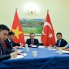 Vietnam-Turquie: entretien téléphonique de vice-ministres des Affaires étrangères