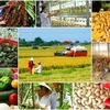 Libre-échange Vietnam-UE : le secteur agricole en est-il vraiment le grand gagnant ?