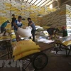L'Afrique - un marché potentiel pour le riz vietnamien