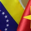 Le Vietnam et le Venezuela tiennent la 8e consultation politique