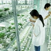 Thai Nguyen renforce une coopération agricole de haute technologie avec Israël
