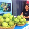 2,8 millions de dollars d’exportations vietnamiennes de mangues aux Etats-Unis