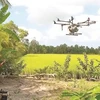 Les drones prennent leur envol dans le monde agricole