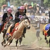 Course de chevaux traditionnelle de Bac Hà reconnue comme patrimoine immatériel 